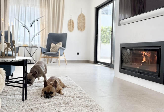Spacious living room with comfortable furnishings
